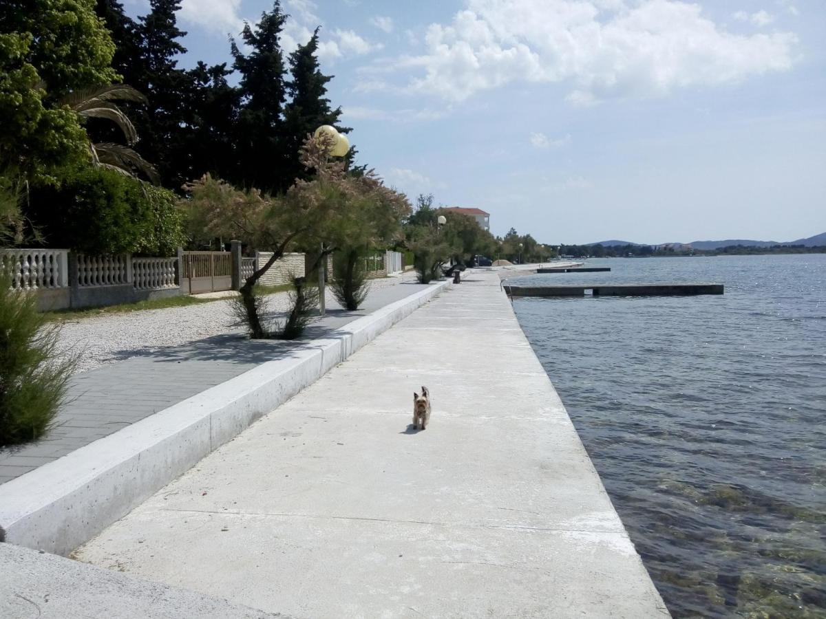 Apartments Franica Ζαντάρ Εξωτερικό φωτογραφία
